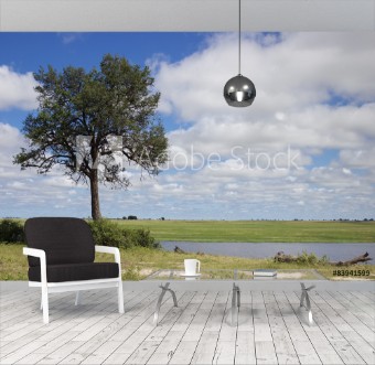 Picture of Botswana Landscape